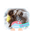 ハッピートイプー（個別スタンプ：12）