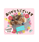 ハッピートイプー（個別スタンプ：17）