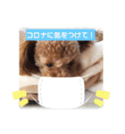 ハッピートイプー（個別スタンプ：19）