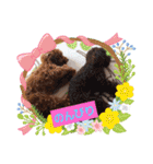 ハッピートイプー（個別スタンプ：22）