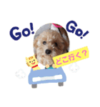 ハッピートイプー（個別スタンプ：30）