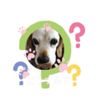 ろんちゃんず（個別スタンプ：8）