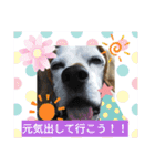 ろんちゃんず（個別スタンプ：14）