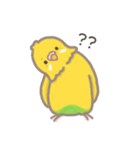 うちのインコのピピ（個別スタンプ：2）