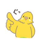 うちのインコのピピ（個別スタンプ：3）