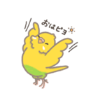 うちのインコのピピ（個別スタンプ：5）