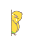 うちのインコのピピ（個別スタンプ：6）