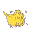 うちのインコのピピ（個別スタンプ：7）