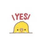 うちのインコのピピ（個別スタンプ：9）