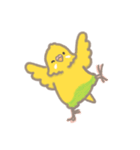 うちのインコのピピ（個別スタンプ：11）