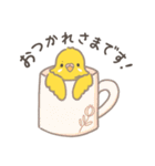 うちのインコのピピ（個別スタンプ：13）