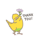 うちのインコのピピ（個別スタンプ：15）