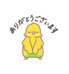 うちのインコのピピ（個別スタンプ：16）