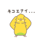 うちのインコのピピ（個別スタンプ：17）