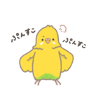 うちのインコのピピ（個別スタンプ：18）
