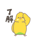 うちのインコのピピ（個別スタンプ：20）