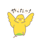 うちのインコのピピ（個別スタンプ：21）