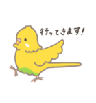 うちのインコのピピ（個別スタンプ：22）