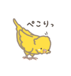 うちのインコのピピ（個別スタンプ：25）