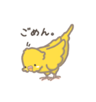 うちのインコのピピ（個別スタンプ：26）