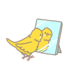 うちのインコのピピ（個別スタンプ：27）