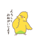 うちのインコのピピ（個別スタンプ：28）