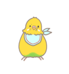 うちのインコのピピ（個別スタンプ：30）
