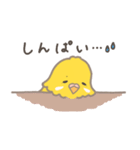うちのインコのピピ（個別スタンプ：31）