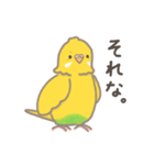 うちのインコのピピ（個別スタンプ：32）