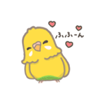 うちのインコのピピ（個別スタンプ：33）