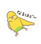 うちのインコのピピ（個別スタンプ：34）