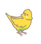 うちのインコのピピ（個別スタンプ：35）