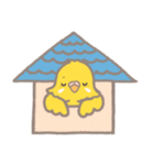 うちのインコのピピ（個別スタンプ：39）