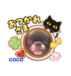 楓 スタンプ2（個別スタンプ：2）