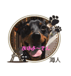 楓 スタンプ2（個別スタンプ：4）