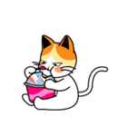シックな猫 Nekoyang（個別スタンプ：6）