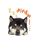 くるみとなかまたち1（個別スタンプ：2）