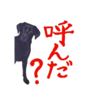 くるみとなかまたち1（個別スタンプ：4）