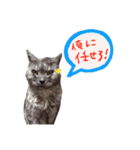 くるみとなかまたち1（個別スタンプ：7）