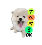 ポメラニアンあまみ君の1日（個別スタンプ：9）