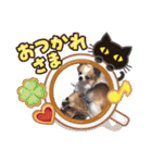 チワワのもっちぃ♡（個別スタンプ：39）