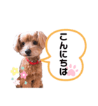 ゆずのスタンプ010120202（個別スタンプ：1）