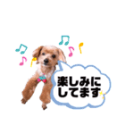 ゆずのスタンプ010120202（個別スタンプ：3）