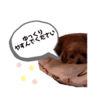 ゆずのスタンプ010120202（個別スタンプ：11）