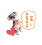ゆずのスタンプ010120202（個別スタンプ：13）