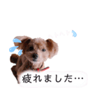ゆずのスタンプ010120202（個別スタンプ：14）