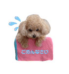 コロコロコロンちゃん（個別スタンプ：2）