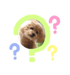 コロコロコロンちゃん（個別スタンプ：4）