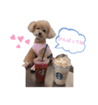 コロコロコロンちゃん（個別スタンプ：18）