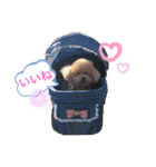 コロコロコロンちゃん（個別スタンプ：25）